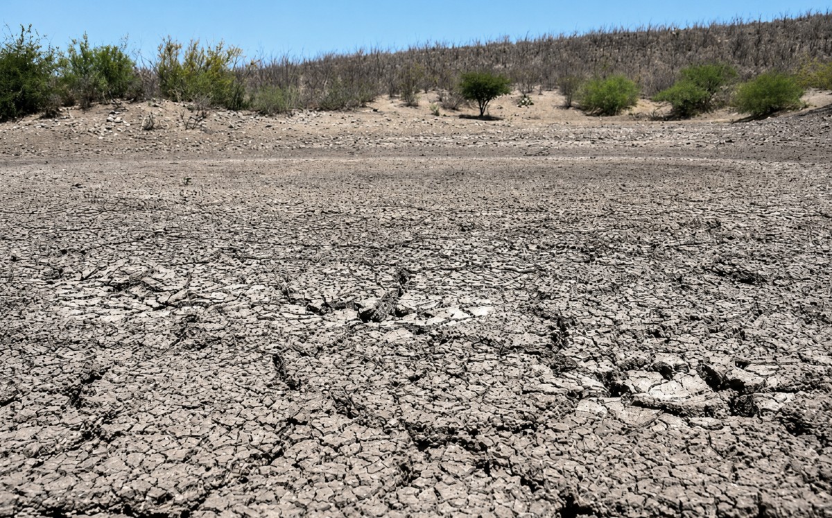 Municipios con vocación ganadera se ubican en una condición de anormalmente seca. |  CORTESÍA: ROLANDO RIESTRA