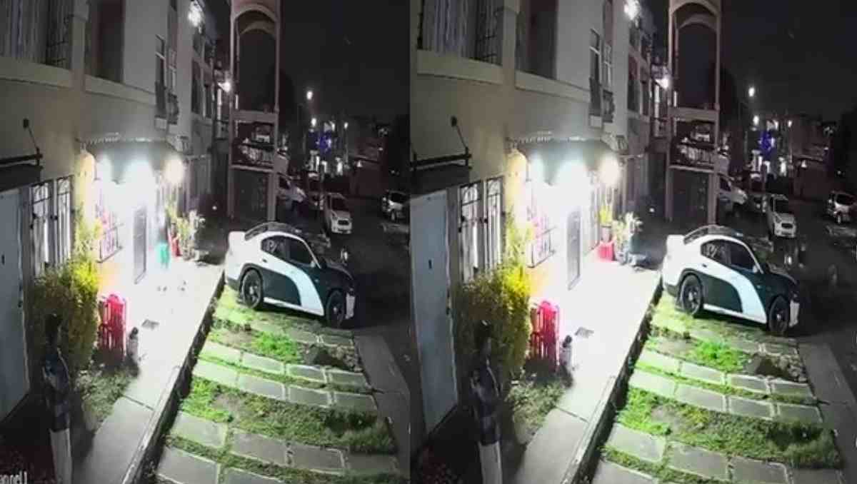 En redes sociales fue difundido un video en el que se observa a un individuo disparando directamente contra un perro. Foto: Especial