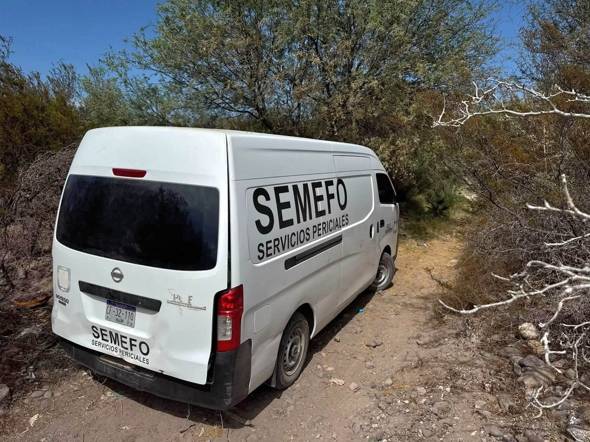 SEMEFO descubre fosa en Baja California Sur | Foto: Shisell Montes