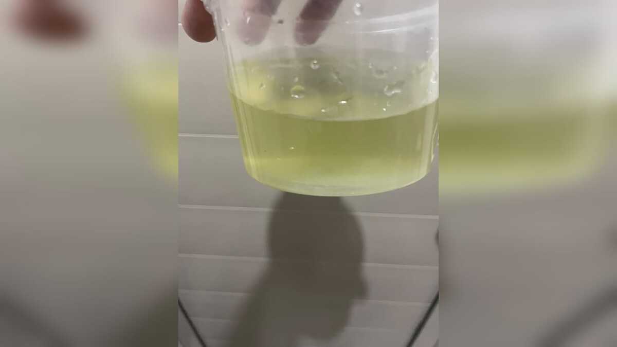 En Torreón, agua tratada afecta suministro en Las Trojes. | Foto: cortesía habitantes del Fraccionamiento Las Trojes.