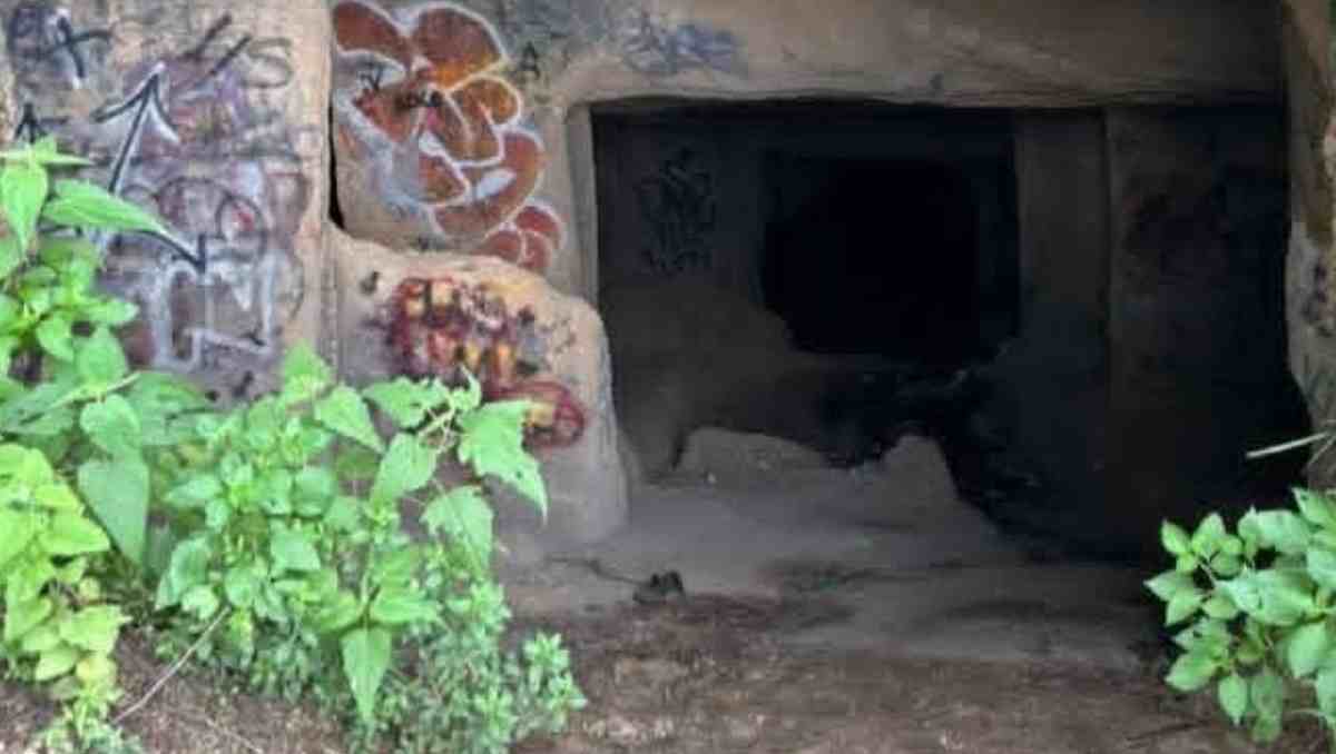 La zona de las cuevas permanece cercada con malla ciclónica. | Foto: Carlos Zaid