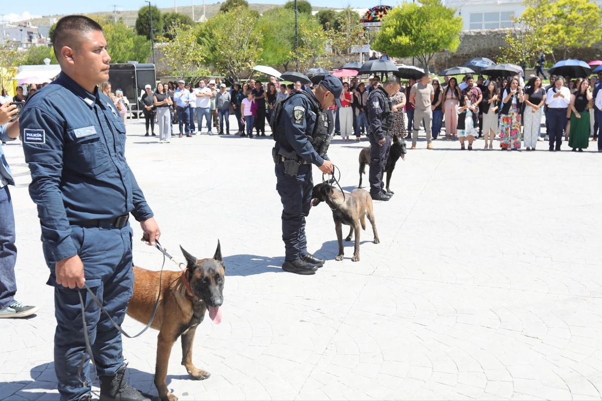 Los tres agentes caninos dejaron Mineral de la Reforma. (Cortesía)