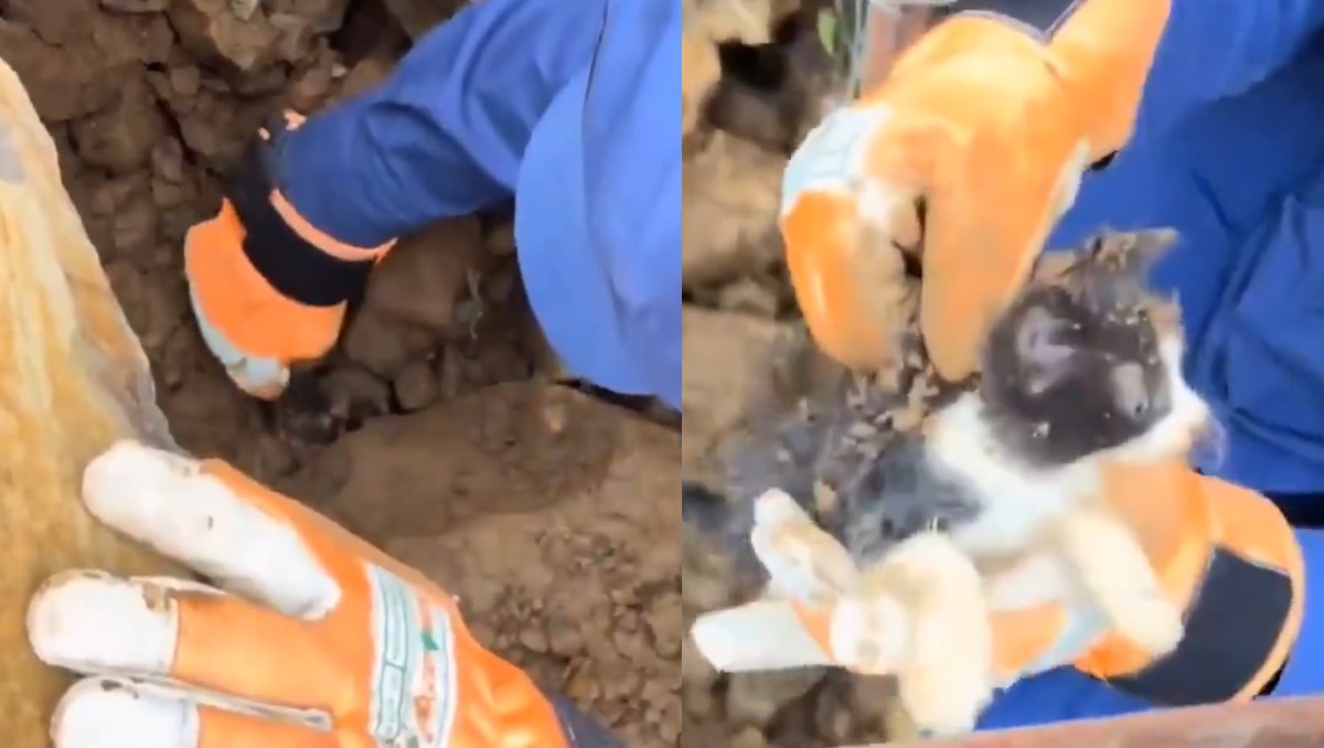 Quedó atrapado entre los escombros tras el sismo que sacudió Colombia. | X: Anónimo.SV
