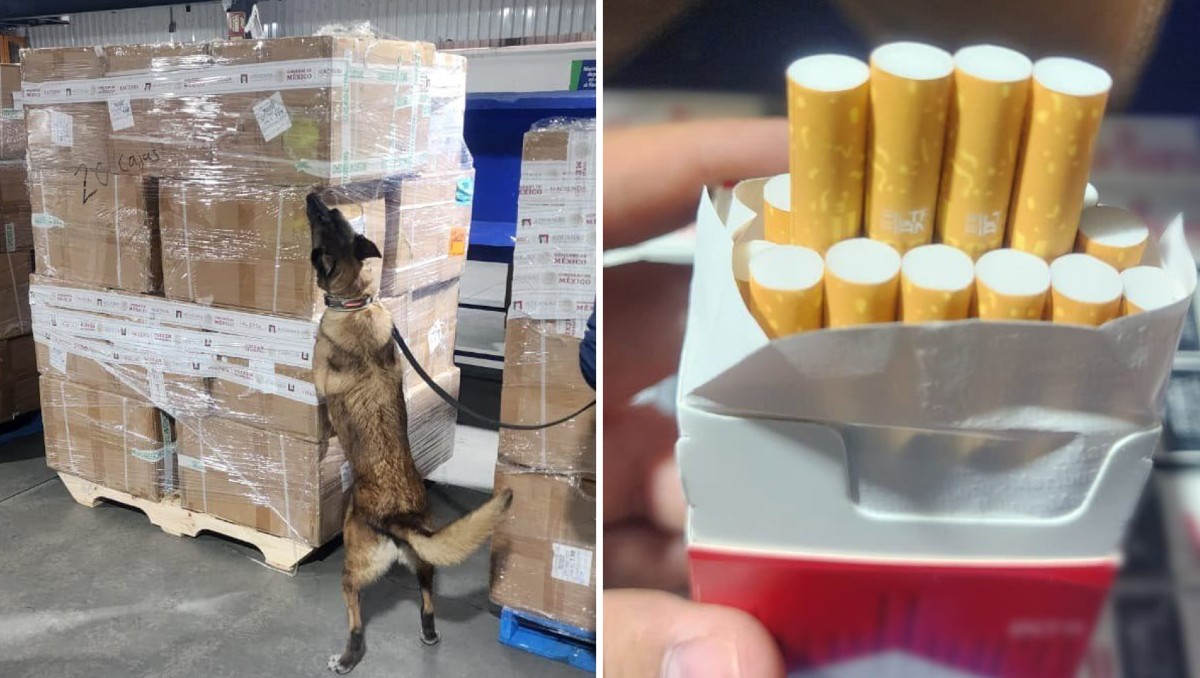 Los cigarrillos apócrifos llegaron al AICM procedentes de Tailandia. | Foto: Gabinete de Seguridad
