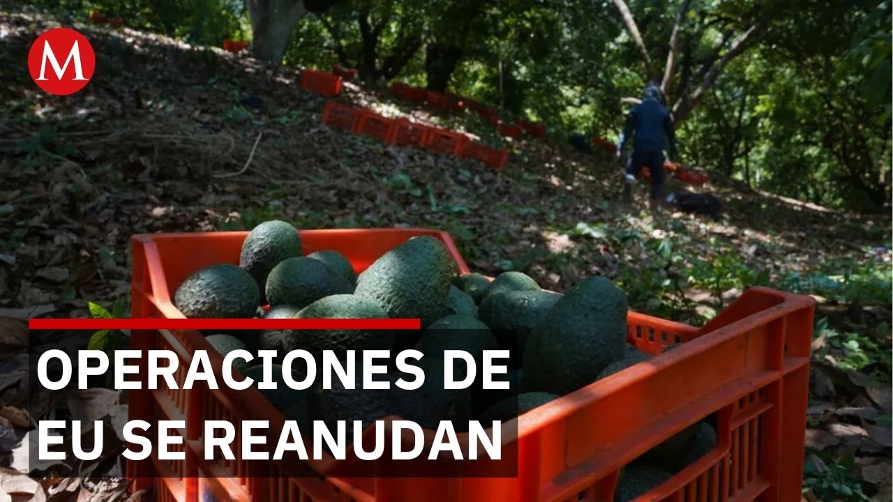 EU reanuda operaciones en Michoacán pese a mantener alerta nivel 4