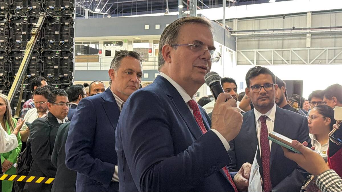 Marcelo Ebrard, secretario de Economía. | Especial
