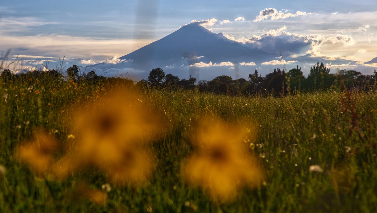 Popocatépetl HOY: Actividad registrada 13 de agosto 2026 | EN VIVO | Andrés Lobato