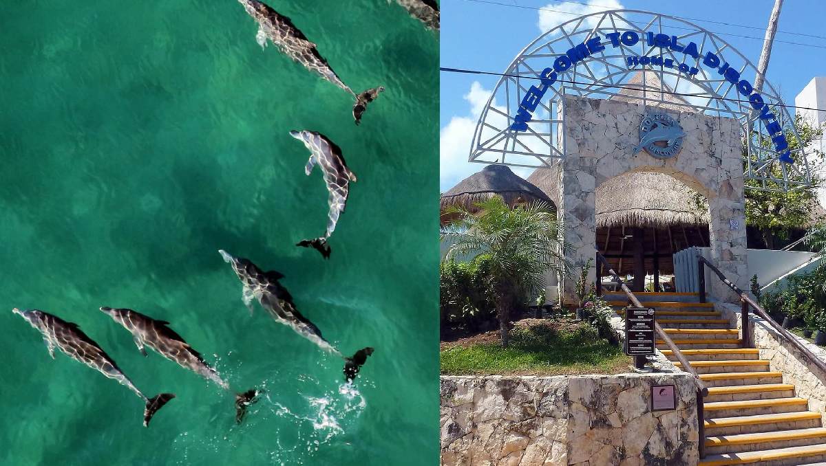 El recinto donde permanecen los nueve delfines fue clausurado en octubre de 2025. | Especial