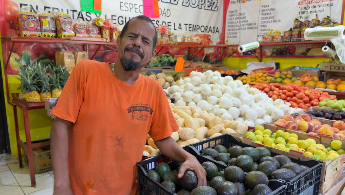 La suspensión temporal del fruto michoacano no generó desabasto ni aumentos extraordinarios, dicen los comerciantes. Foto: Ángel Mercado