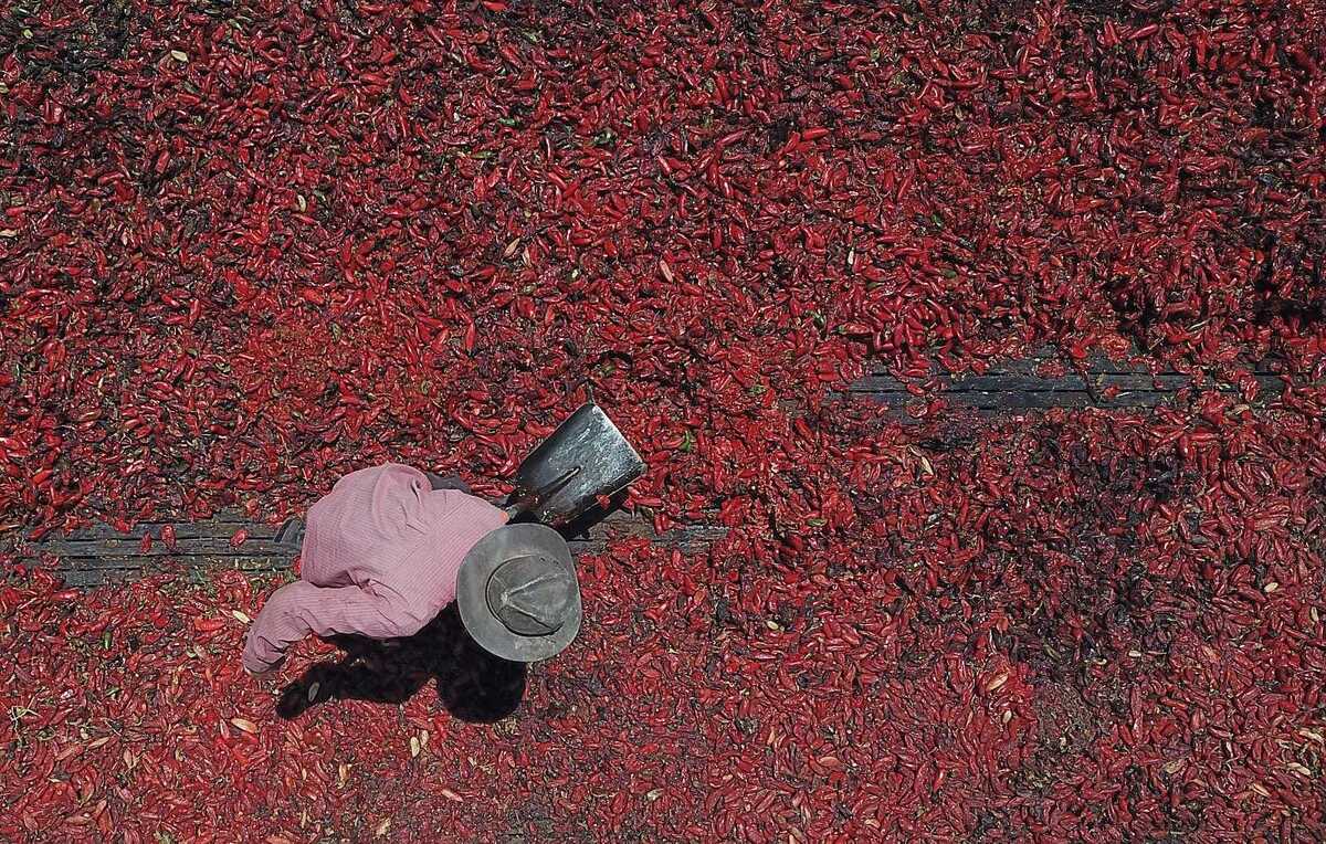 Cómo se hace el chile chipotle artesanal en La Laguna. | Manuel Guadarrama.