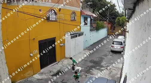 El menor se encontraba con otro jugando en la calle, cuando el canino llegó y lo mordió. (Foto: especial)