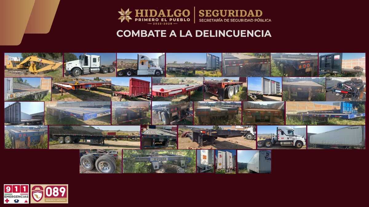 Realizan operativo en predio clandestino. (Cortesía)