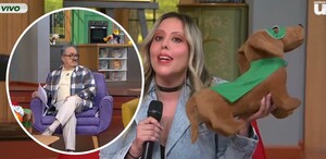 Ventaneando impulsa la adopción de perros y analiza el problema del maltrato animal