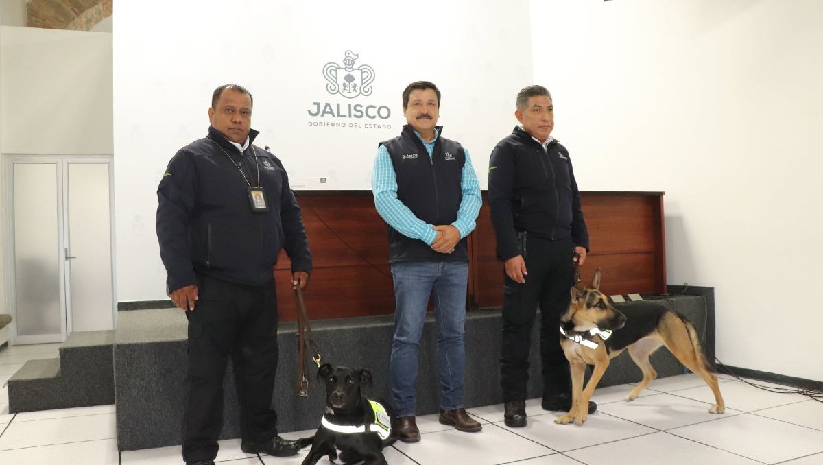 La vigilancia epidemiológica incluye inspección canina (facebook.com/AsicaJalisco)