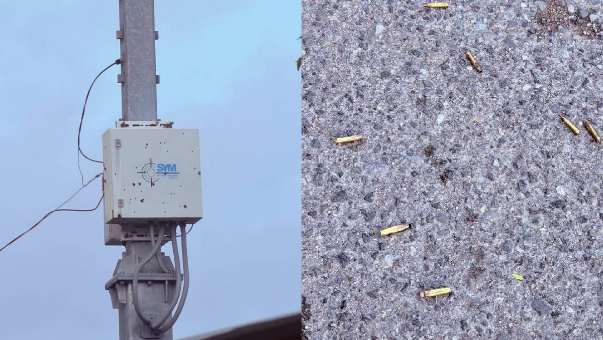 Las detonaciones de arma de fuego fueron reportadas al 911. Especial