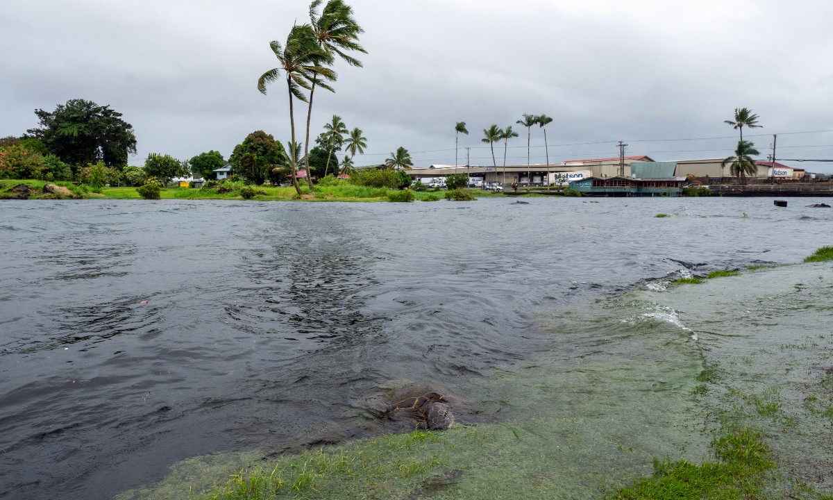 Tormenta Lala azota la Isla Grande de Hawái; alertan por inundaciones | AFP