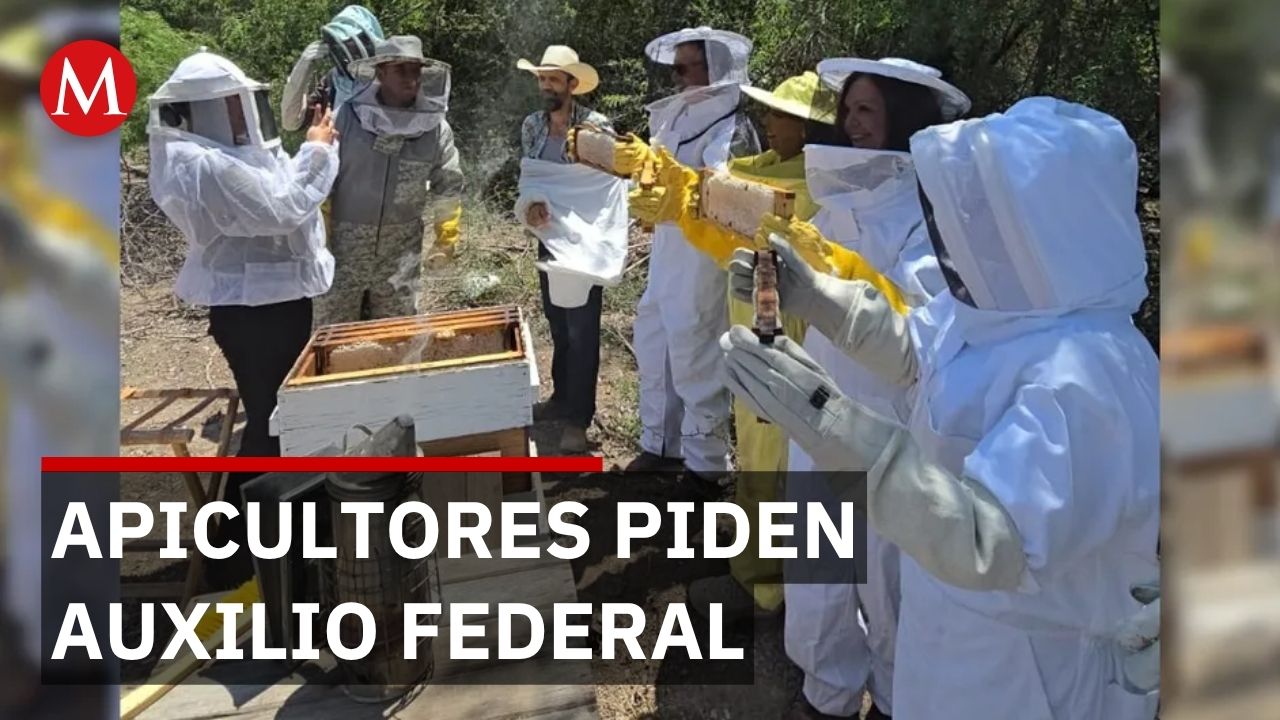 Apicultores de Jalisco piden ayuda federal contra el calentamiento global