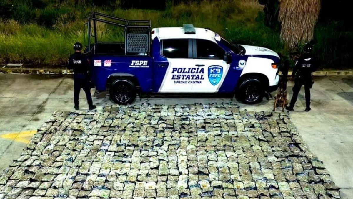 El oficial canino 'Orkan' detectó los paquetes. | Fuerzas de Seguridad Pública del Estado (FSPE)