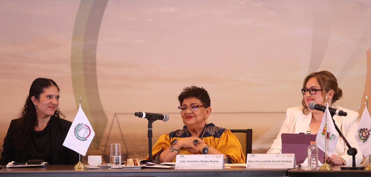 También se propuso homologar capacidades y procedimientos en materia de desaparición de persona