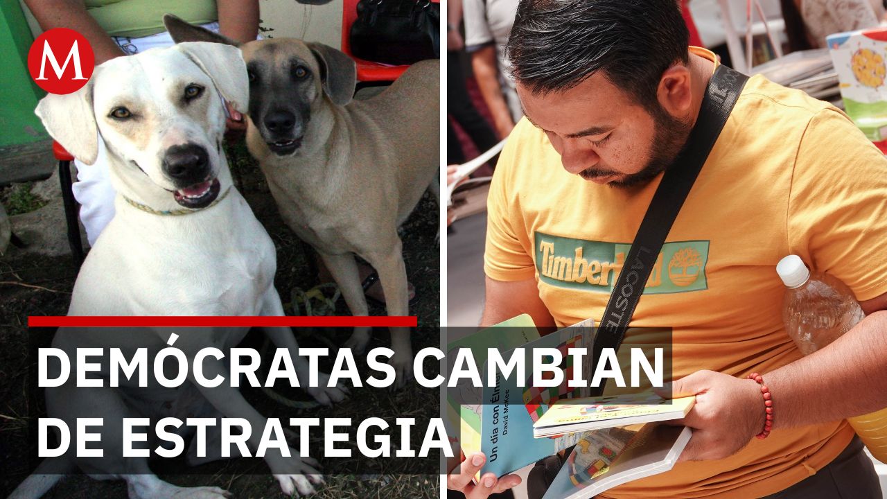 Reciclando Letras transforma libros donados en ayuda para perros y gatos rescatados