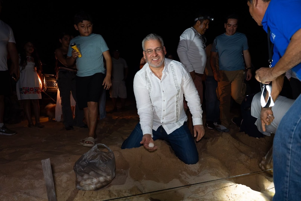 La costa michoacana de 200 kilómetros de extensión recibe anualmente a tres de las siete especies de tortugas marinas del mundo.