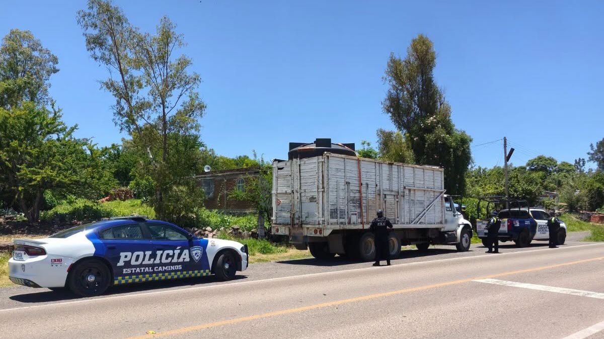 Todo lo decomisado fue puesto a disposición de la Fiscalía General de la República. | Secretaría de Seguridad y Paz de Guanajuato
