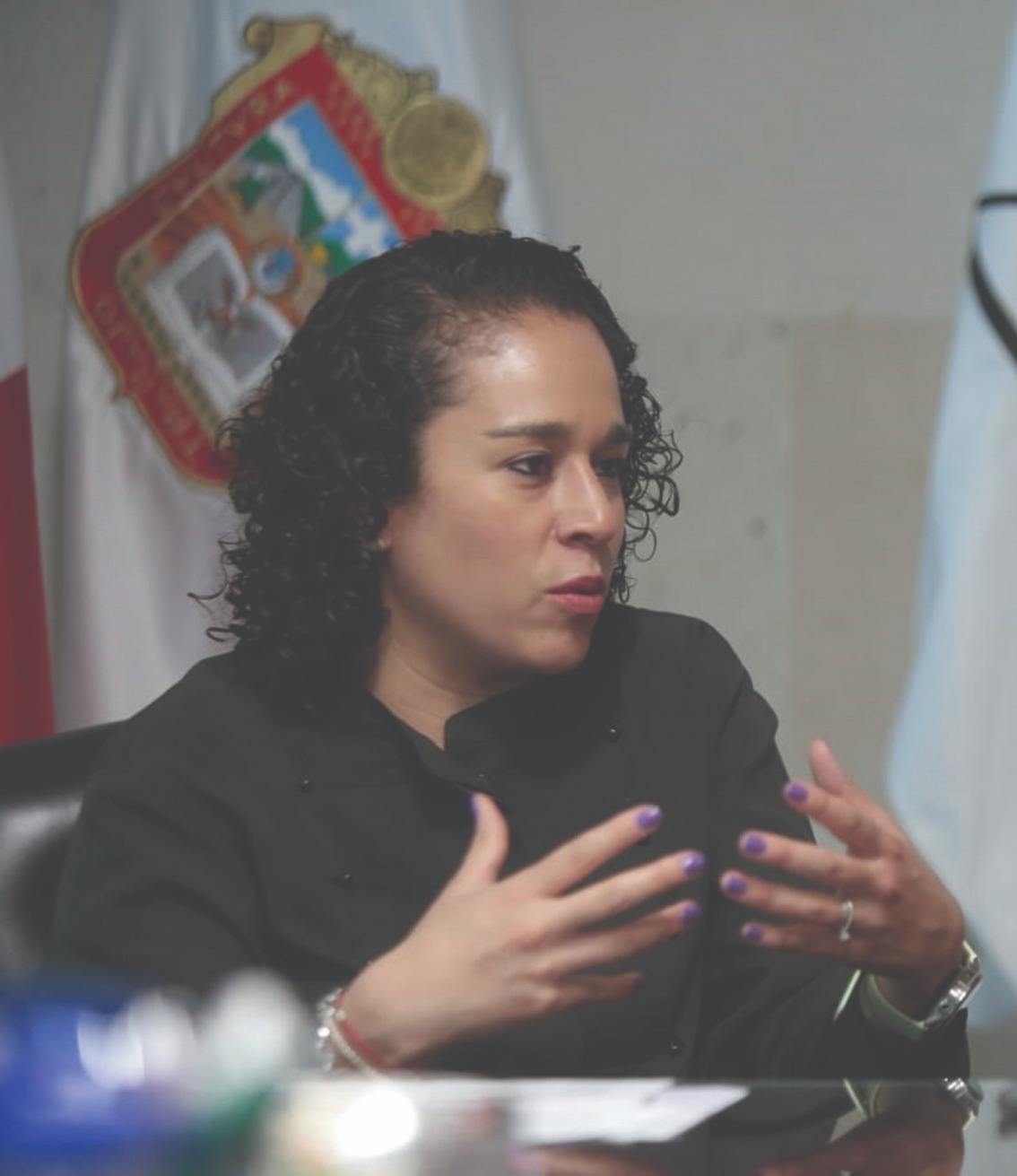Enviaron 32 al TEEM, expresó Amalia Pulido. Tania Contreras