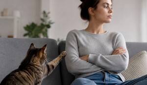 ¿Quién es la persona favorita de tu gato?