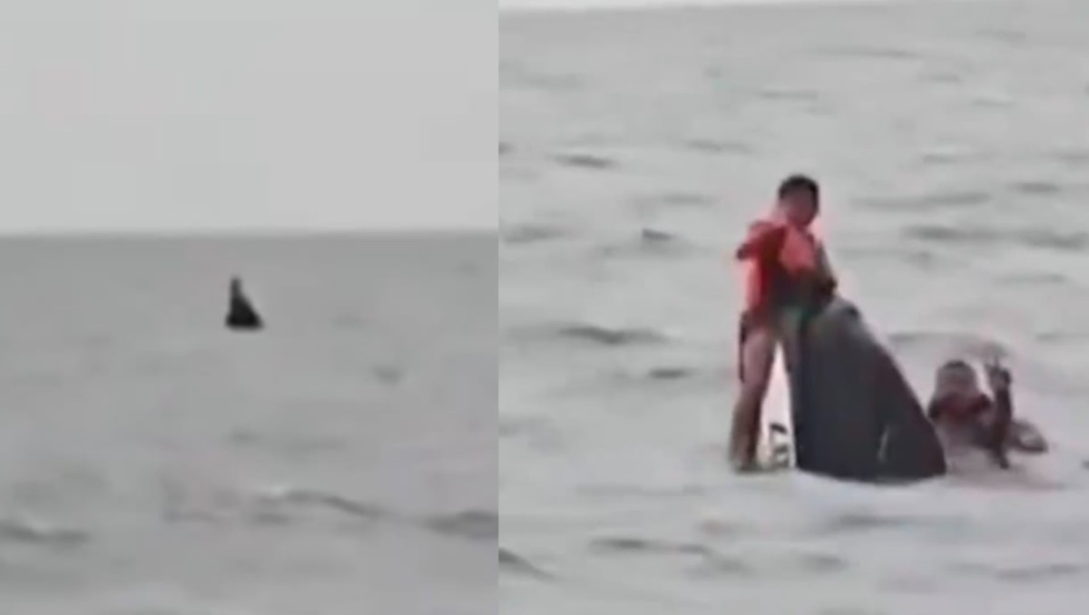 Rescatan a familia francesa frente a una isla en Tailandia. | Redes sociales