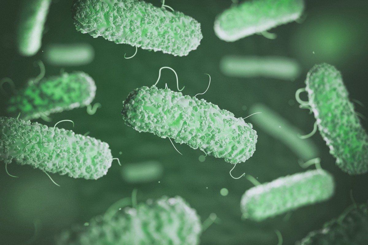 Los síntomas de ciclosporiasis y salmonelosis pueden ser similares, pero el abordaje para un correcto tratamiento debe ser diferente. | Especial