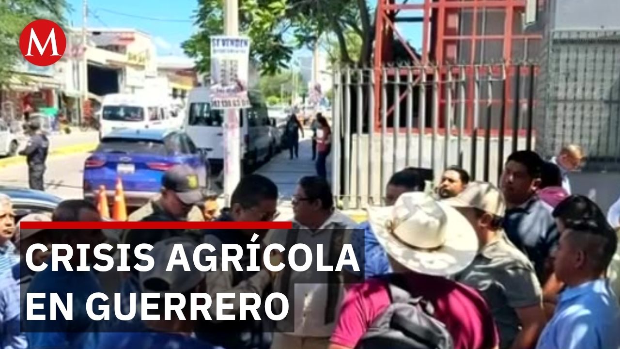 Campesinos de Guerrero piden apoyo por pérdida de 80% de maíz