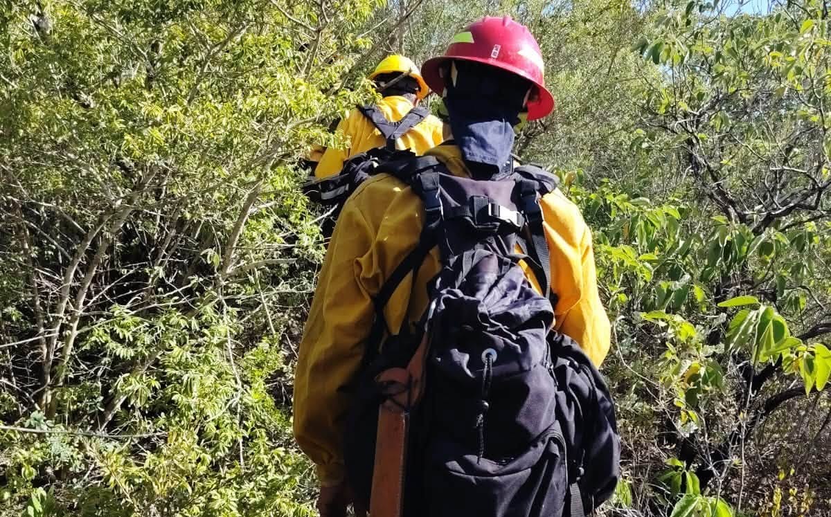 Continúa plan para mitigar incendio en Cerro del Diente. | Fb; SSPT