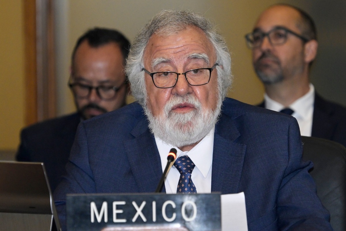 El embajador Encinas aseveró que la medida podría causar mayor desestabilización en Nicaragua. | Foto: X (@MisionMexOEA)
