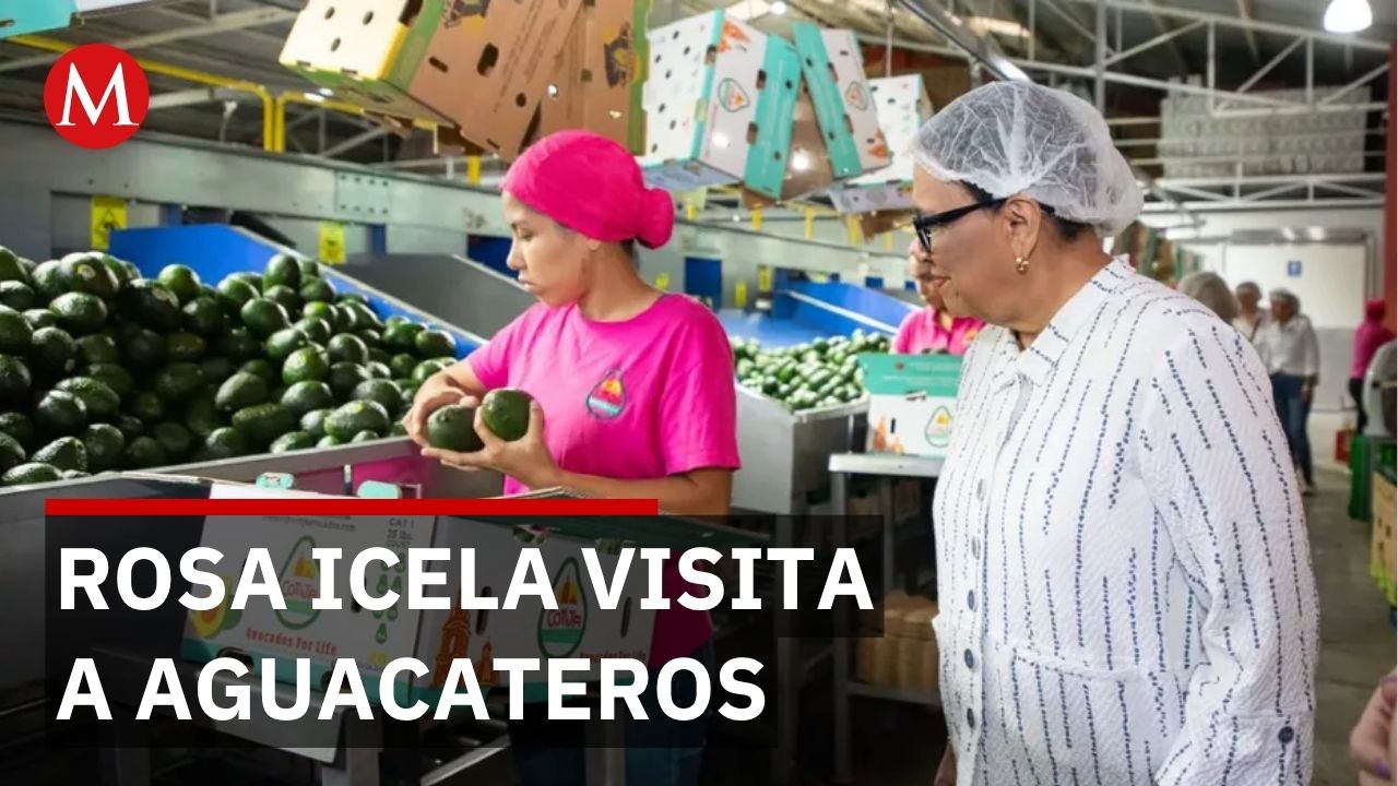 Gobernación supervisa plantas de aguacate en Michoacán contra extorsión