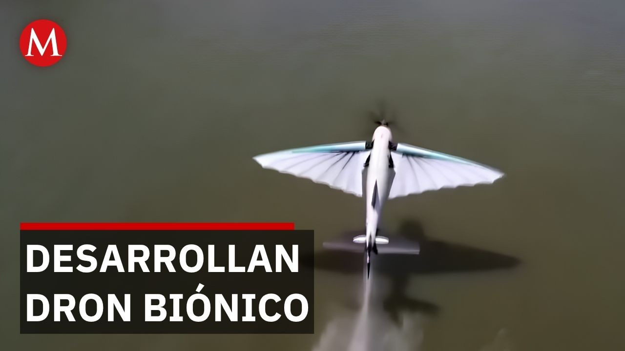 Sky X: dron biónico que vuela y nada como pez volador llega en 6 meses