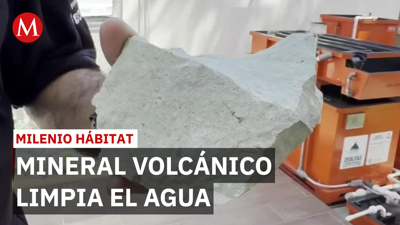 Zeolita: el mineral volcánico que permite ahorrar 60% del agua en tu hogar | Milenio Hábitat