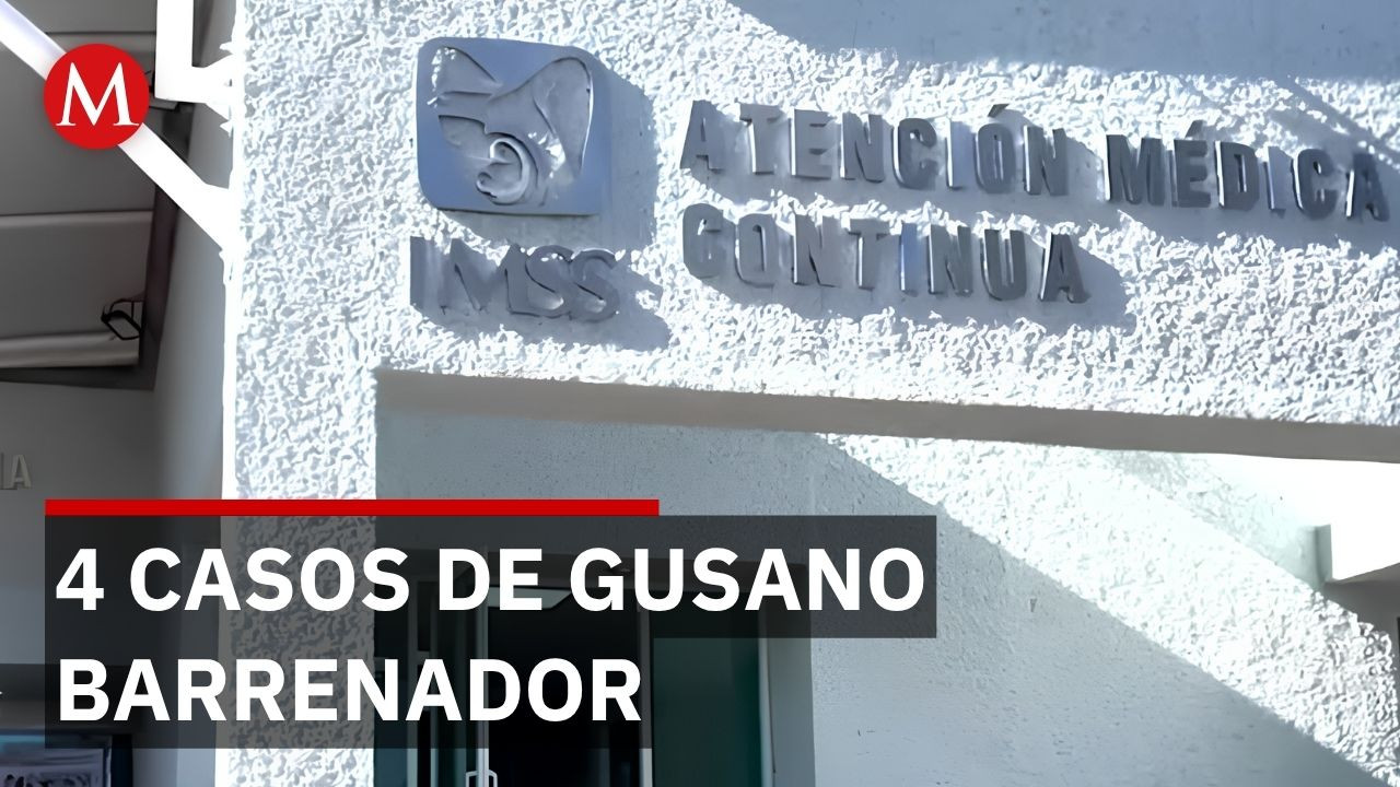 Alerta sanitaria en Zacatecas por 4 casos confirmados de gusano barrenador en humanos