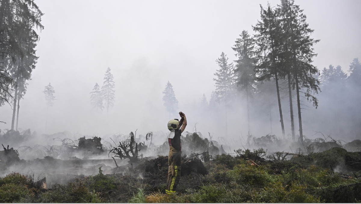 Bombero hace señas a otro mientras el humo emana de la vegetación quemada durante las operaciones contra un incendio en Bélgica. | AFP