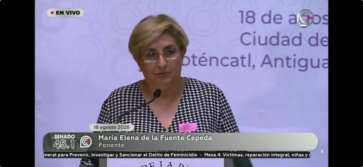 La colectiva participó para aportar propuestas a la nueva Ley General y pidió proteger a las familias de las víctimas.|Fotos: María Elena de la Fuente