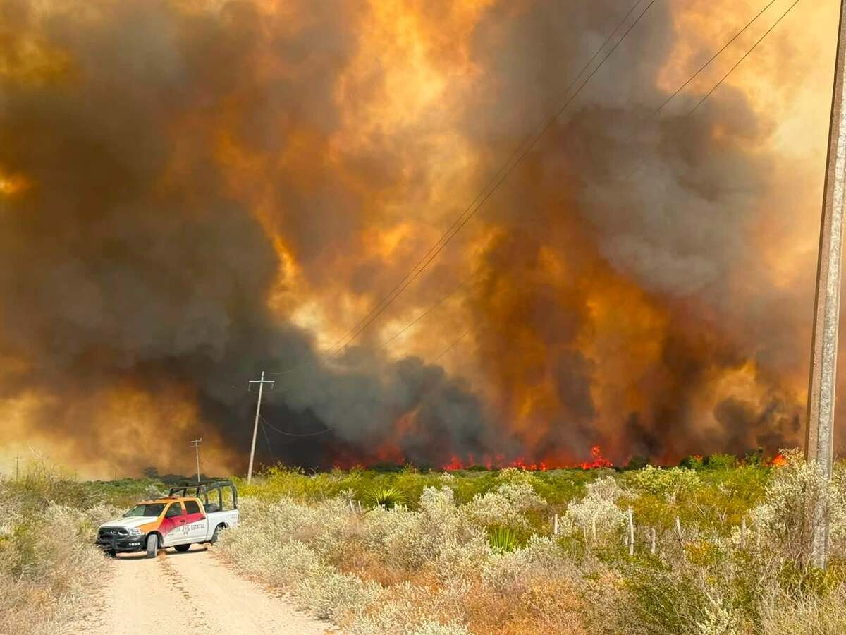 Elementos de la Guardia Estatal mantienen activo el Plan Tamaulipas ante el incendio de pastizal registrado en el municipio de Jiménez.