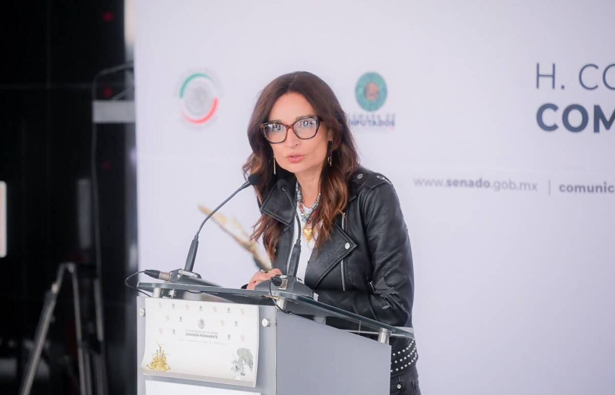 La emecista señaló que 12 legisladores, incluida ella misma, fueron también incluidos en las listas. | Foto: Especial