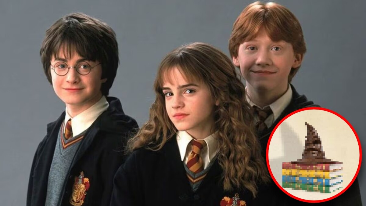 Palomera de Harry Potter en Cinépolis | IA M2