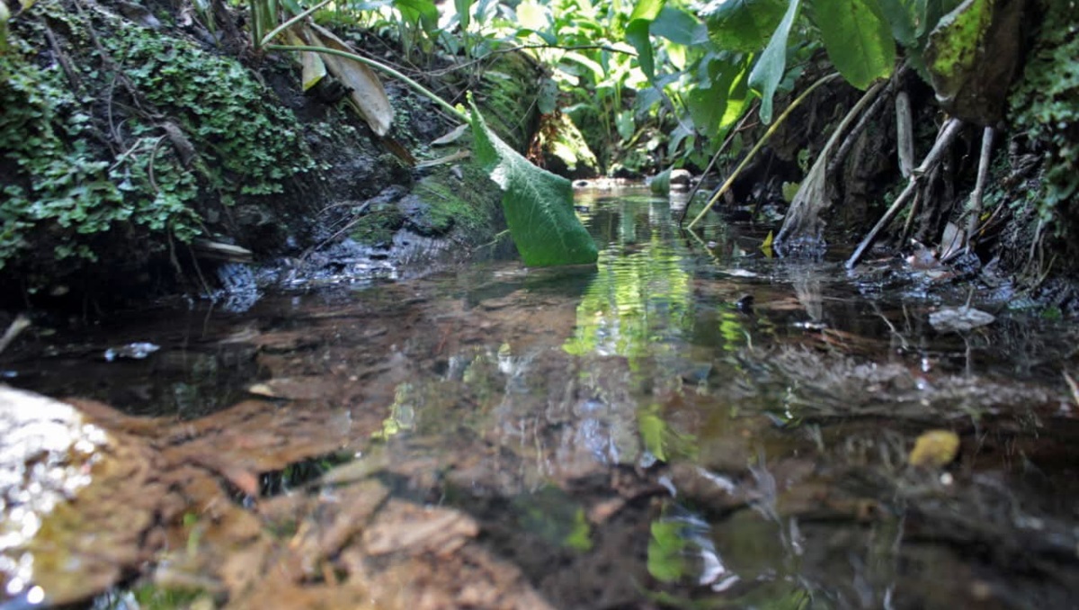 Tlahuapan retoma acusaciones contra Edomex por contaminar río Atoyac | Gobierno de Puebla (Archivo)