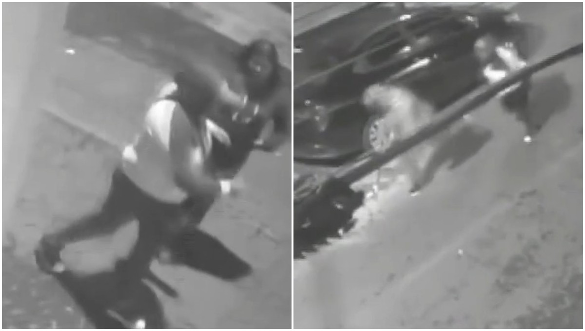 El ataque contra Jennifer y su novio fue captado en video | Foto: Especial