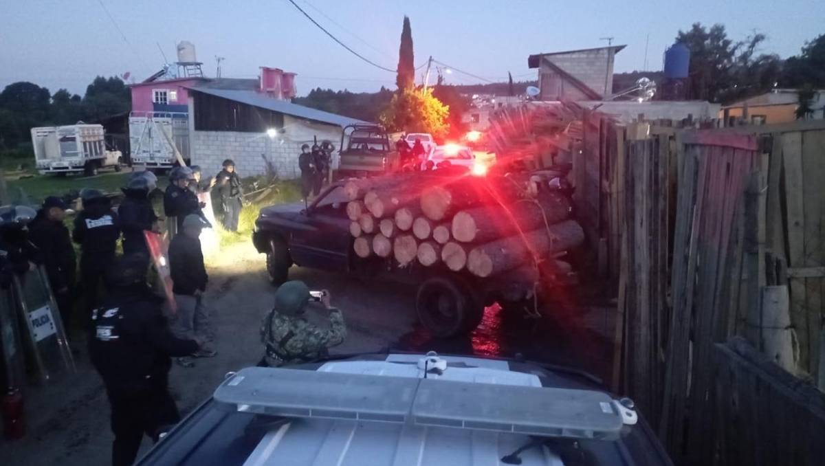 Autoridades aseguraron 99 rollos de pino, un vehículo y dos inmuebles durante un operativo forestal en Ocuilan. | Foto: Especial