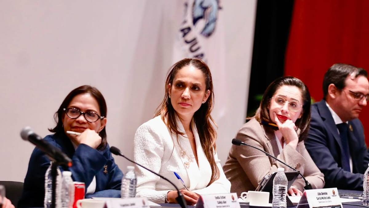 Esta inversión contempla subestaciones, ampliaciones, modernización de redes y obras de cobertura eléctrica.