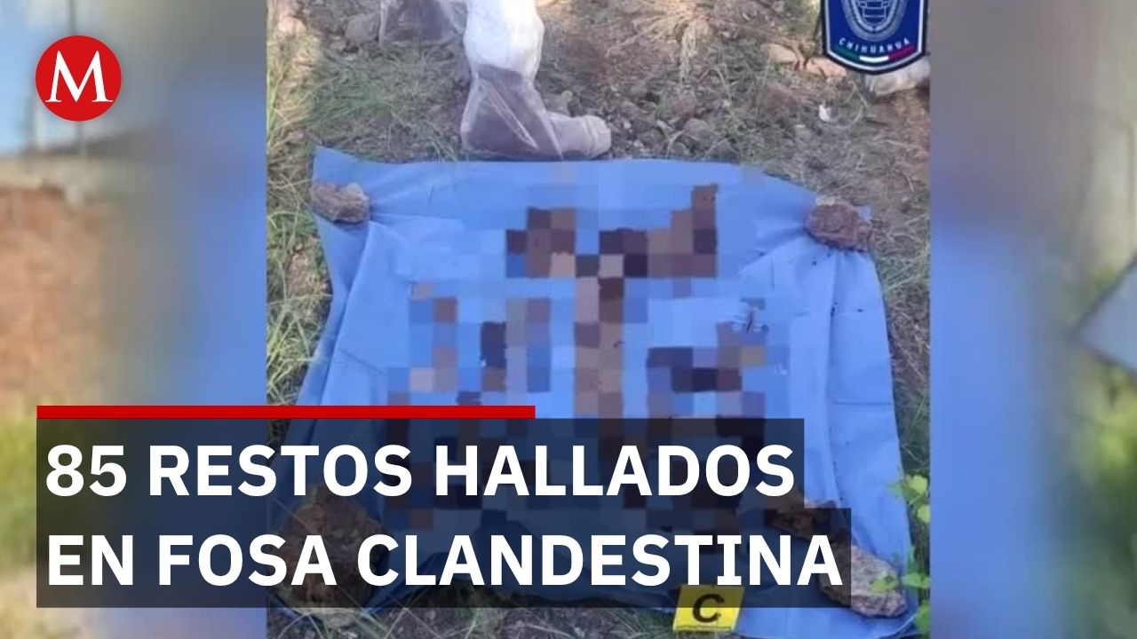 Localizan fosa clandestina y restos óseos en Casas Grandes, Chihuahua