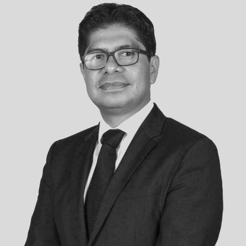 Ricardo Gallegos