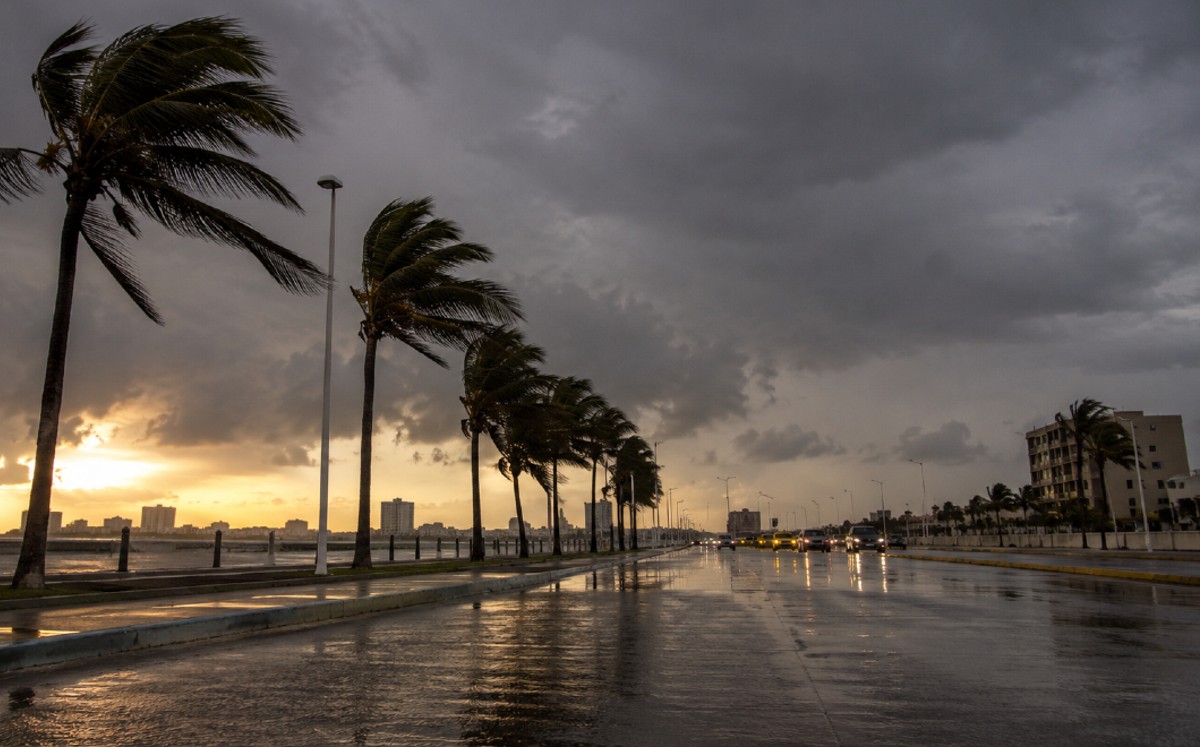 Chubascos, viento y calor marcarán el clima este domingo en Tamaulipas. | Milenio IA