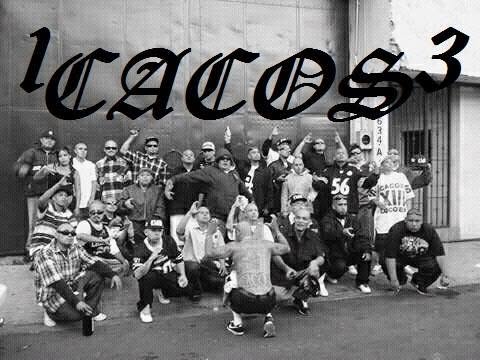 Los Cacos 13 son una pandilla urbana con presencia en la Ciudad de México y el Estado de México. | Especial